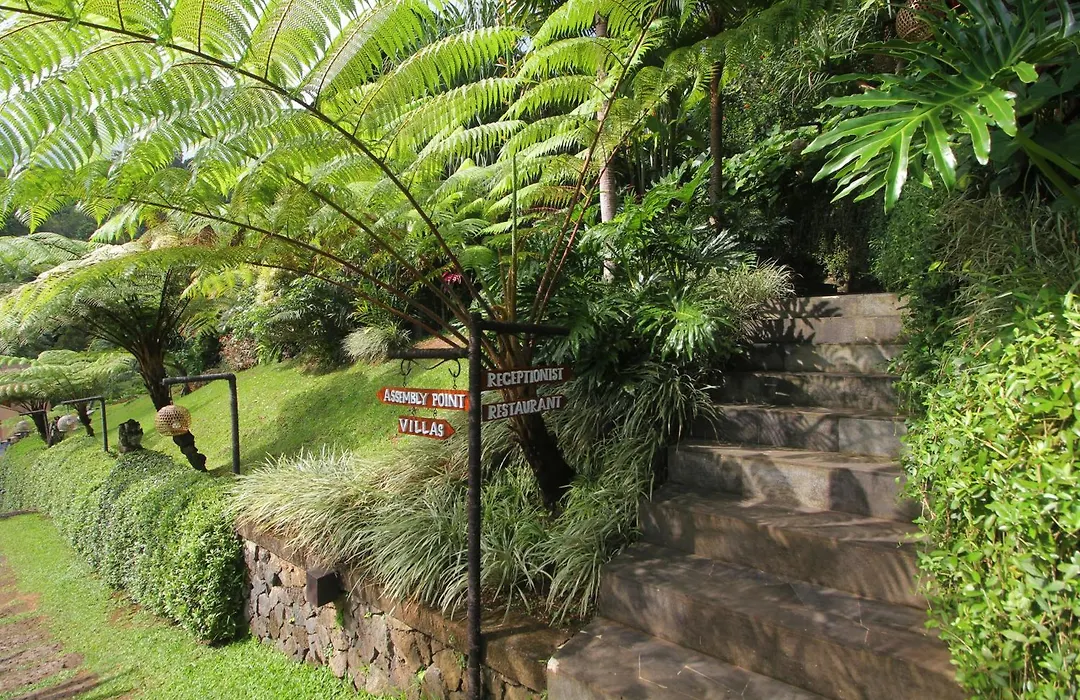 Patal Kikian Villa-1