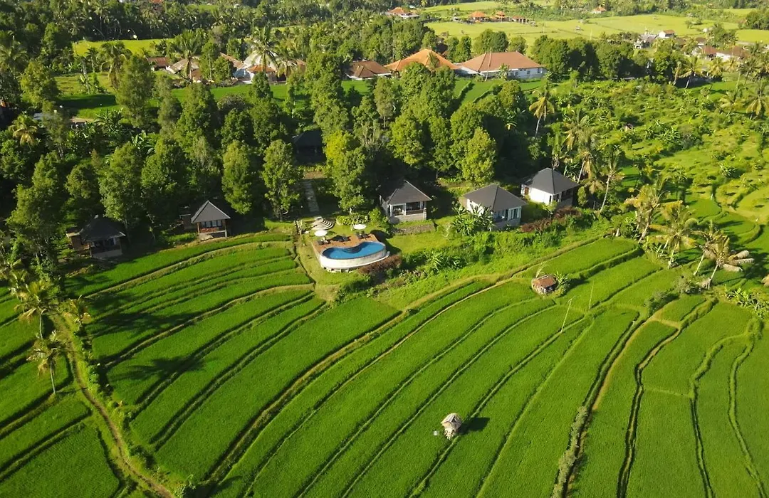 Mayura Bali Villa-1