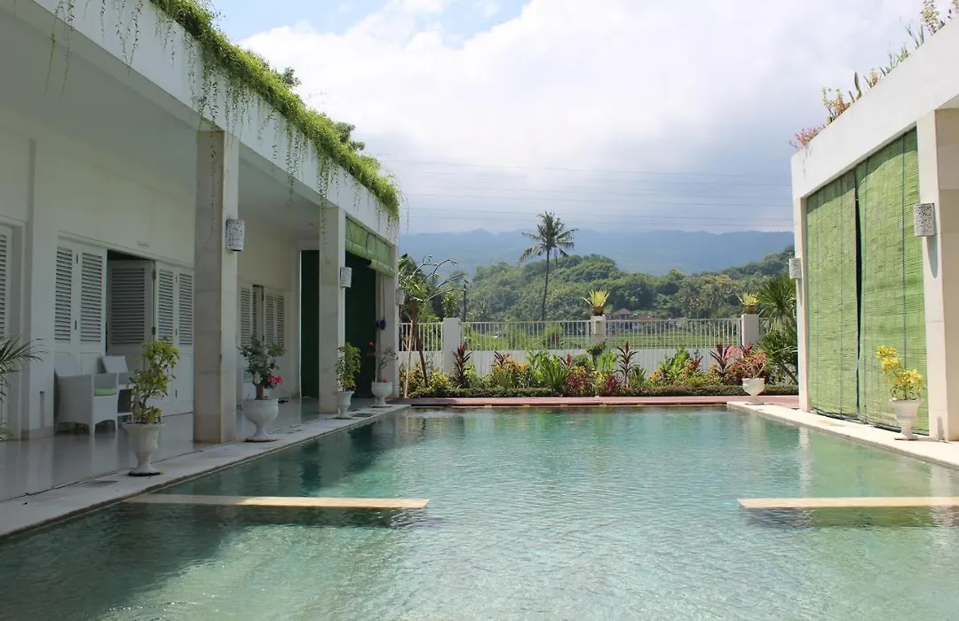 Villa Putih Lovina-1
