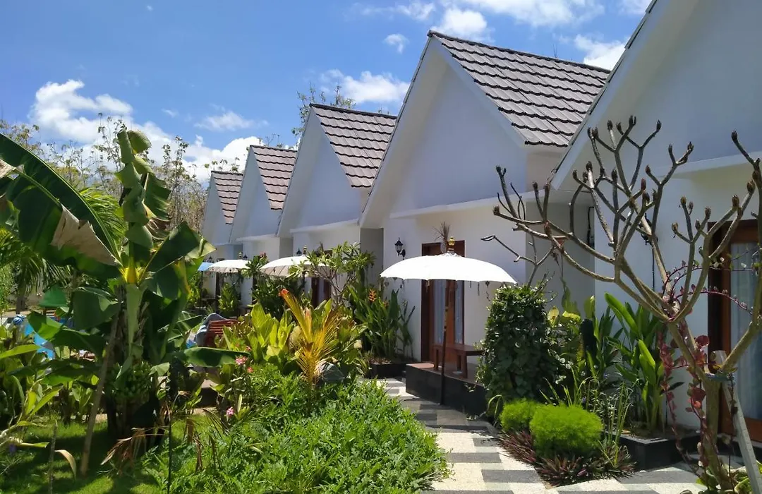 Pitamata Villas-1