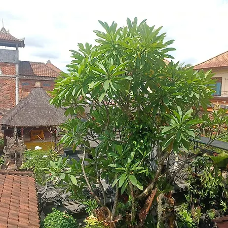 Arjuna Homestay Ubud-3