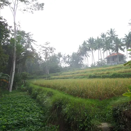 Alam Sembuwuk Ubud-2