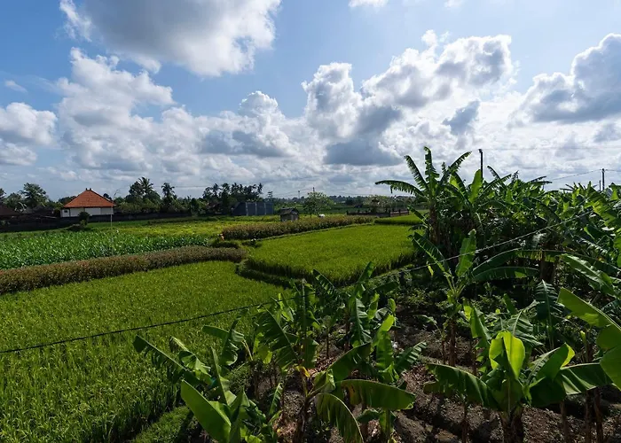 Villa Oemah Joglo Bali Ubud