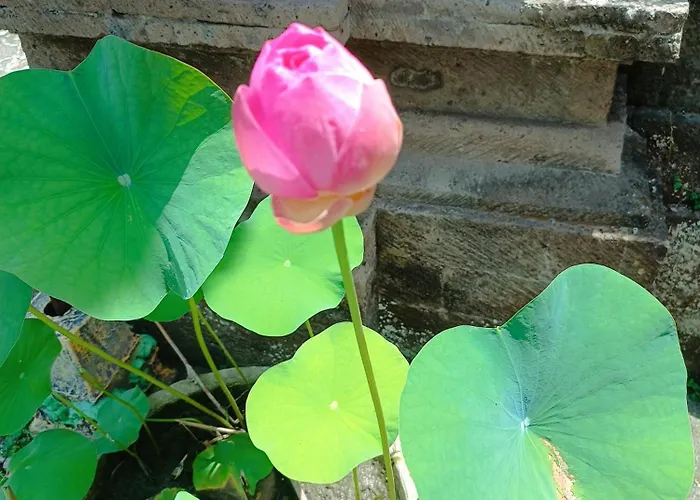 Hotel Mandala Blu Wellness Ubud