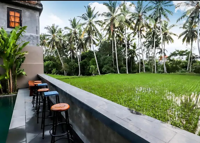 Harmony House 6. Just Built! 2 Min Ubud Center!