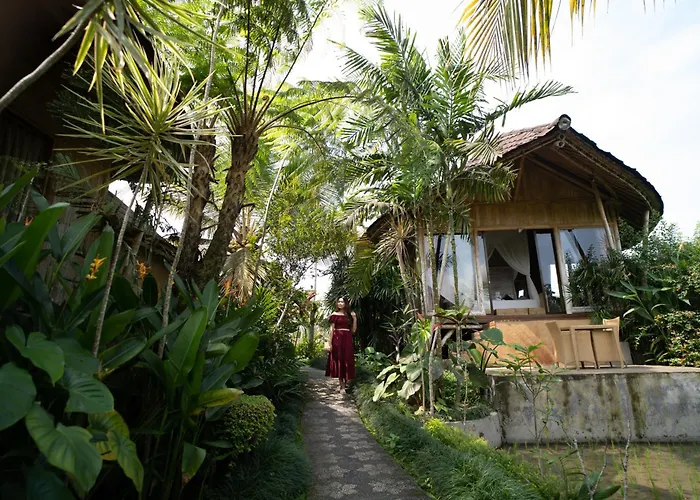 Padi Bali Retreat Hotel Payangan