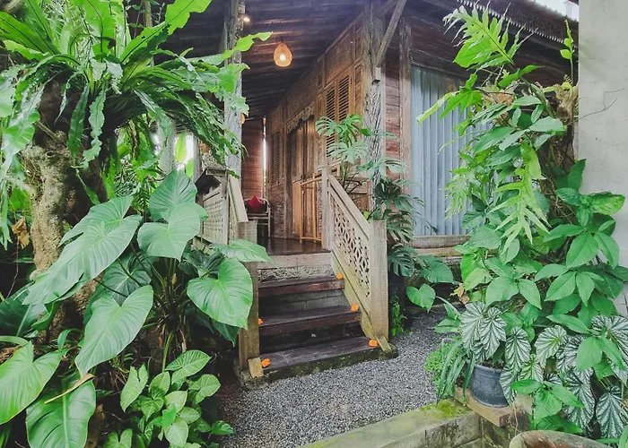 Aura Guesthouse ウブド