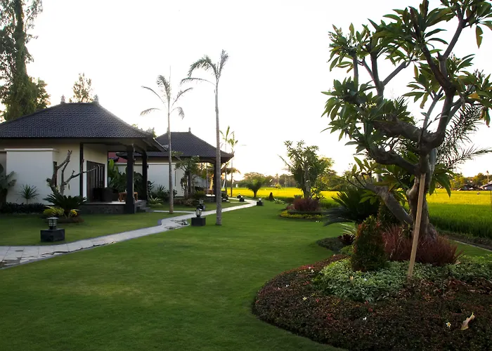 Pandawa Village Lovina Beach