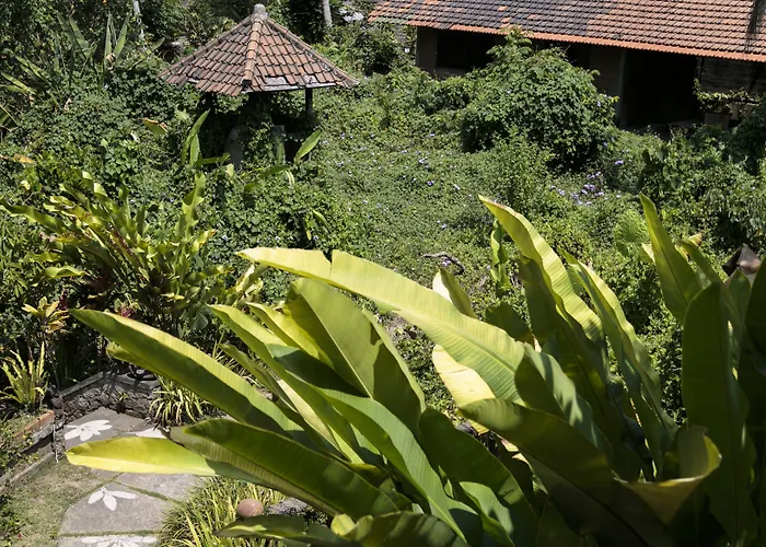 Murni'S Houses & Spa ウブド
