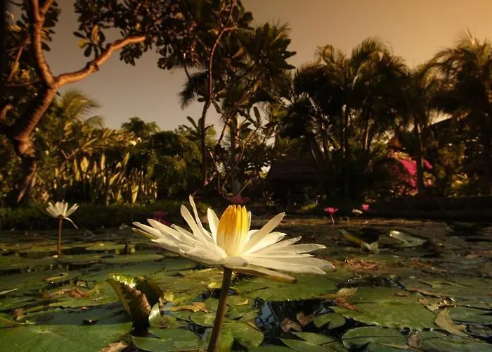 Pondok Sari Beach Bungalow Pemuteran