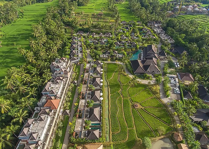 Resorts cerca de Bosque de los Monos de Ubud