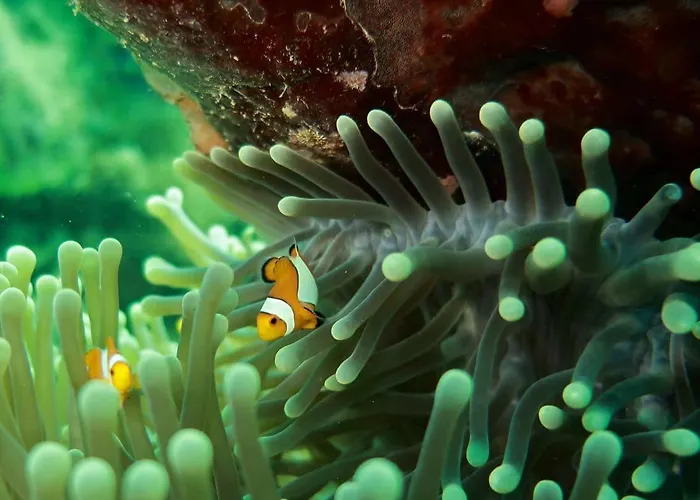 Pondok Rahayu Guest House Pemuteran