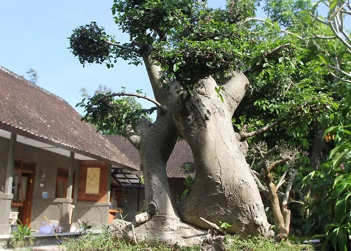 Jerogadung House Hotel Ubud 