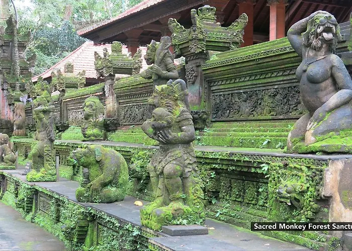 Zen Premium Nyuh Bojog Ubud